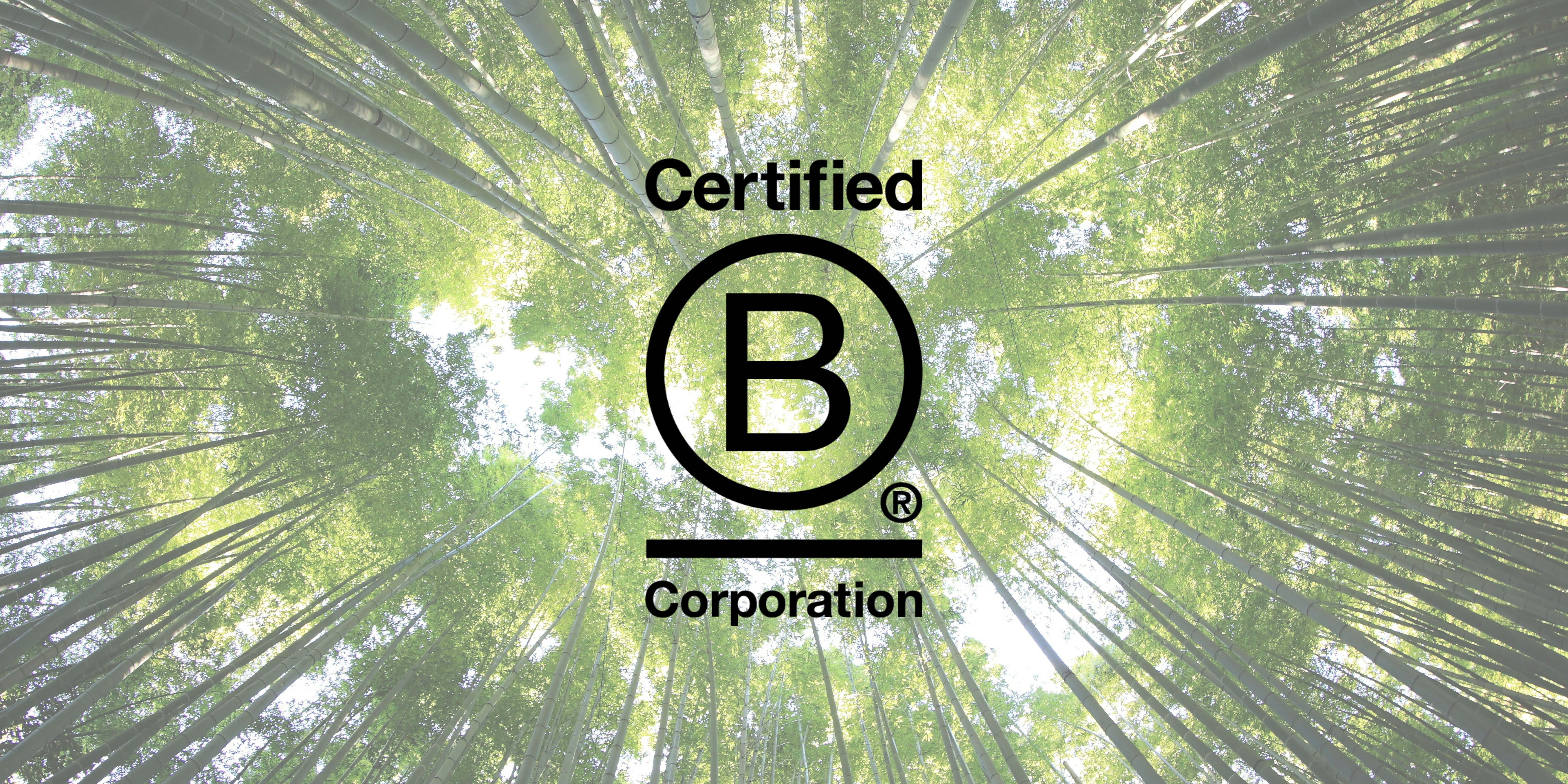 DP Medical Systems secures B Corp™ Certification