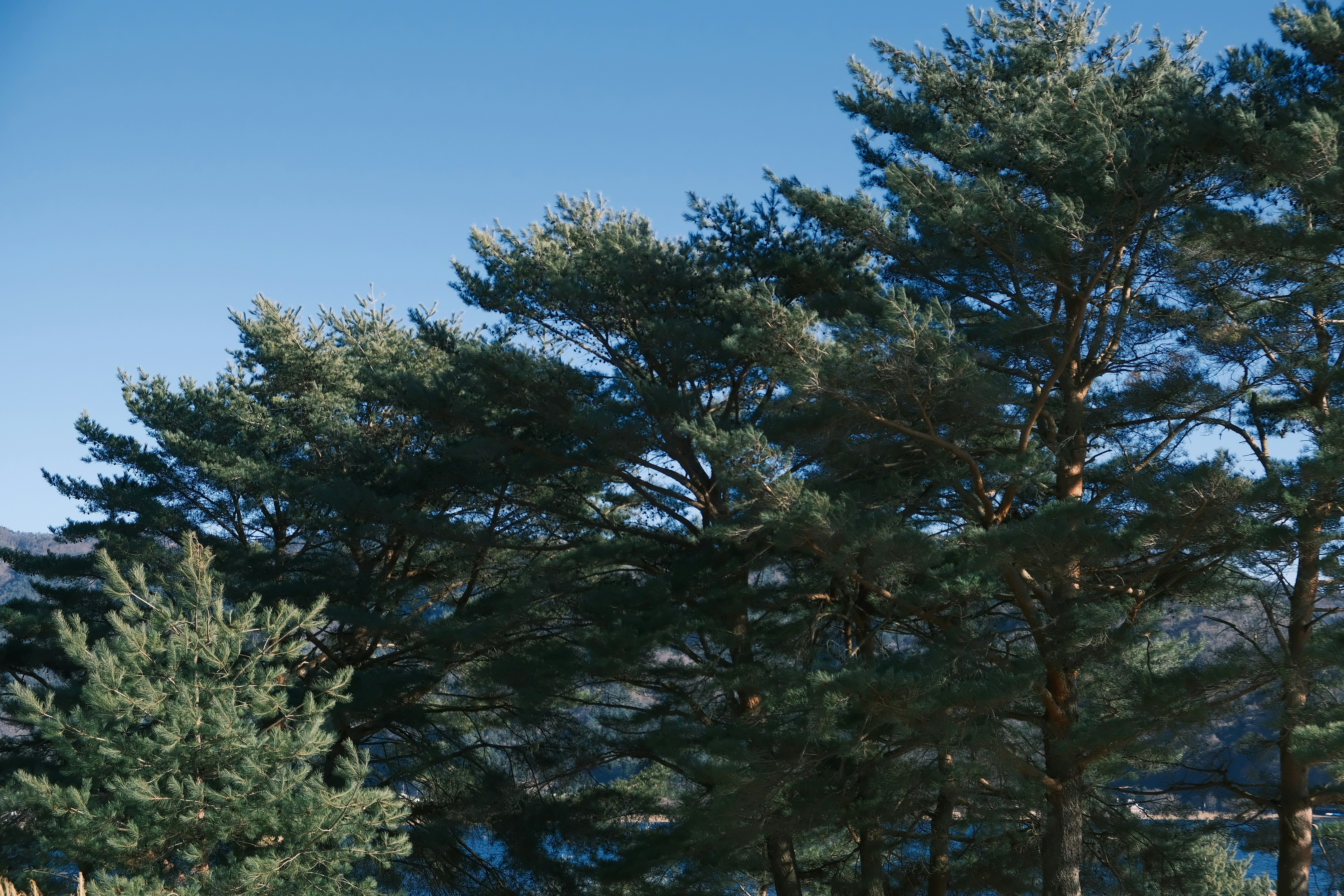 Our B Corp journey: Sustainability in focus